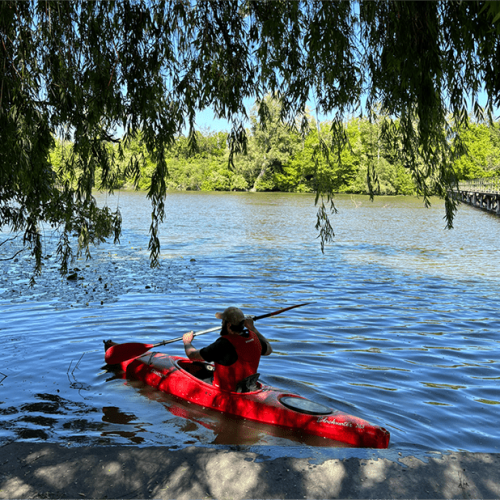 Muž splavuje rieku v kanoe s Red Rock River